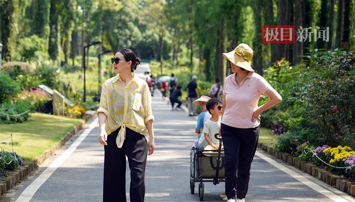 新宝6登录网址